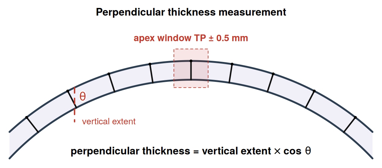 Perpendicular thickness measurement diagram
